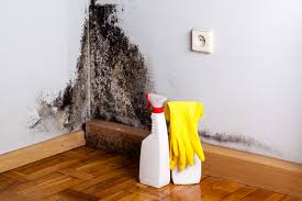 Mold Remediation for Vacation Homes in North Fort Myers, FL